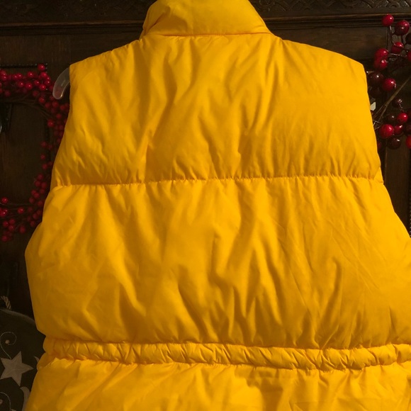 Ski Vest - Picture 4 of 5